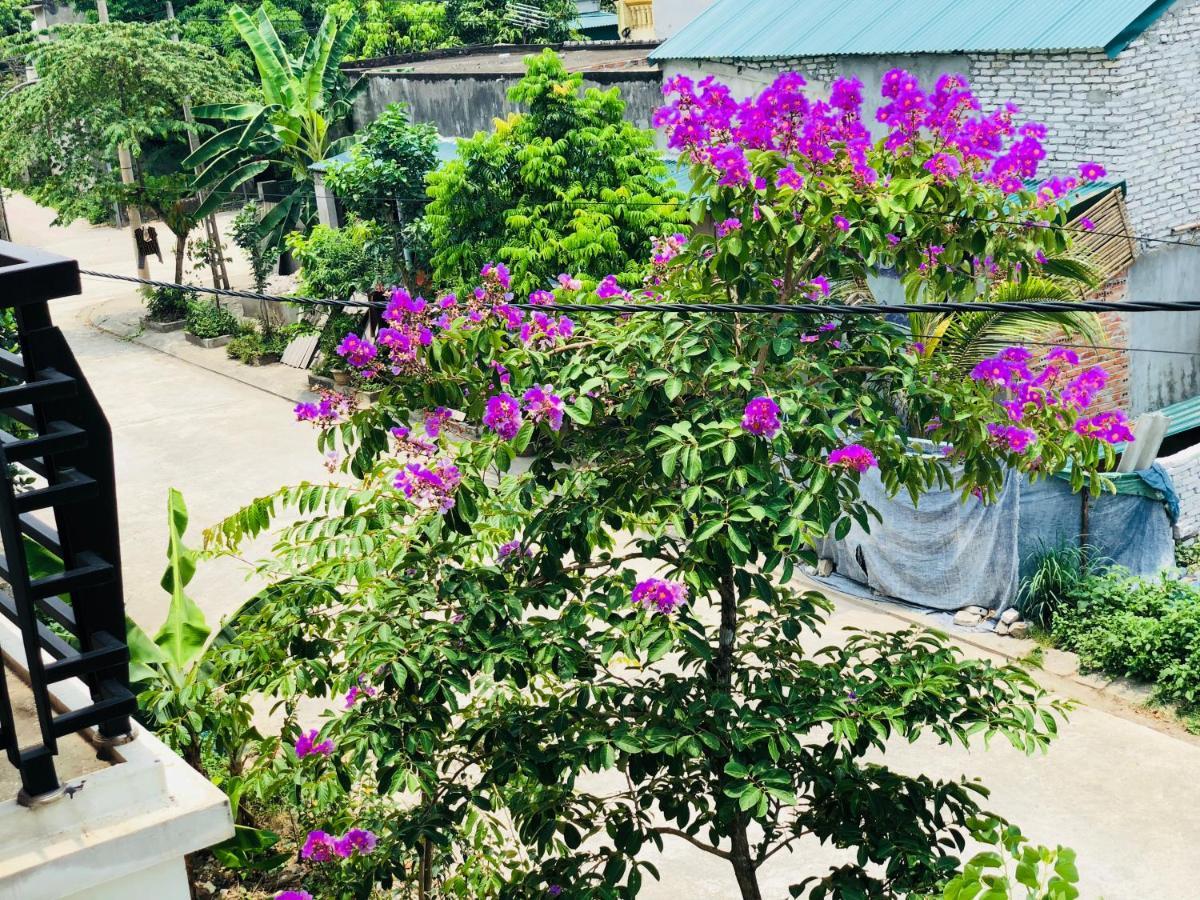 Ninh Binh Brother'S Homestay Exterior photo